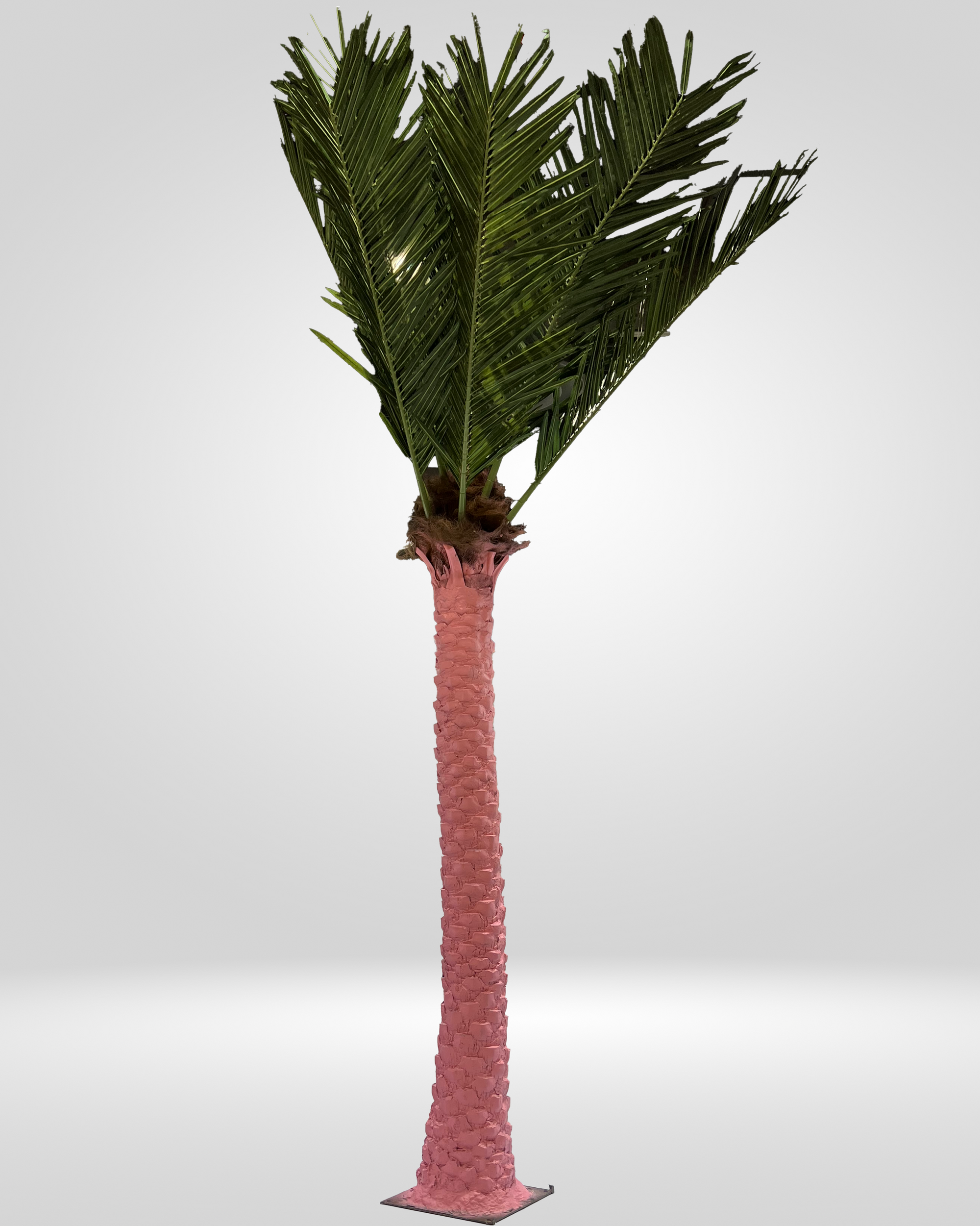 "Pink Palms"